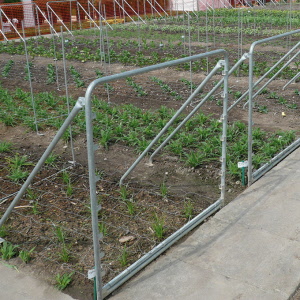 Stützen für Schnittblumen-Drahtgeflechte