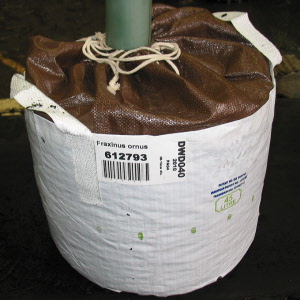 Baumschulcontainer White Bag 65 lt