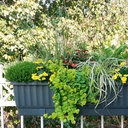 Blumenkasten VENEZIA weiss 80 cm, inkl. Wasserstandsanzeiger