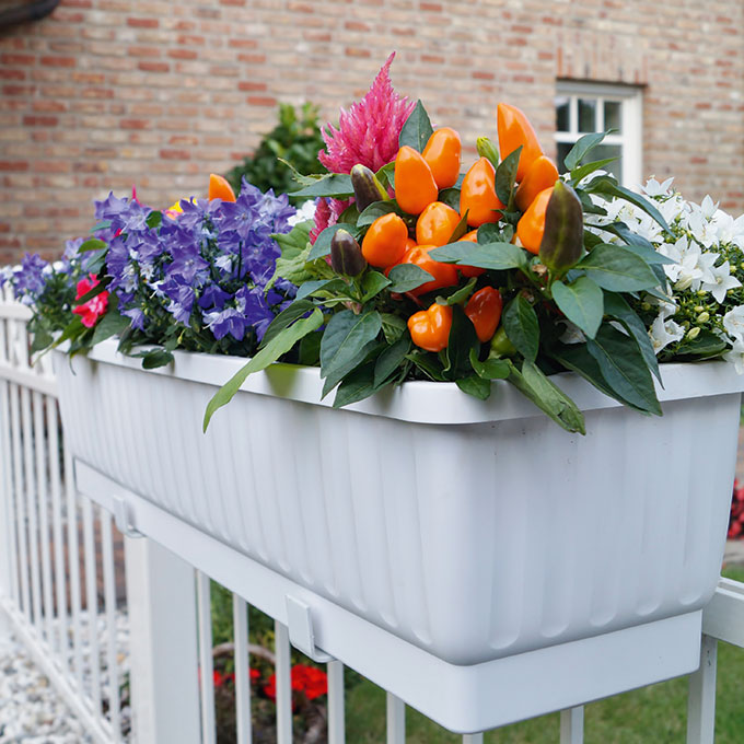 Blumenkasten VENEZIA weiss 80 cm, inkl. Wasserstandsanzeiger