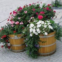 Pflanzenkübel Eiche ø 60 cm