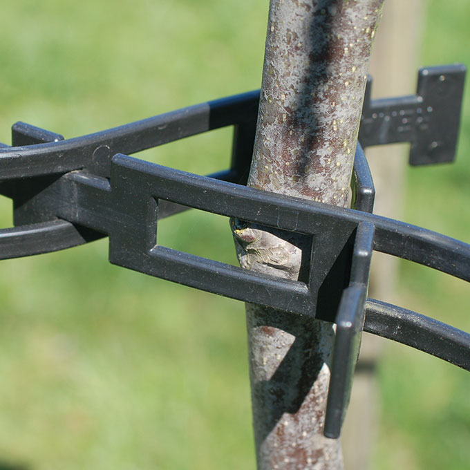 Baumband, 810 mm lang, inkl. Verbindungsteil, Btl à 50 Stück