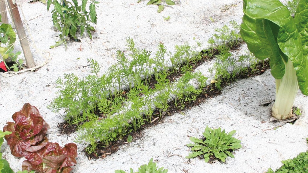 Hanfvlies, 360 g/m², 100 m lang, 87 cm breit