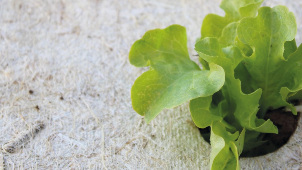 Hanfvlies, 360 g/m², 100 m lang, 87 cm breit