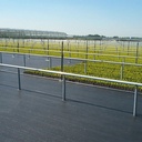 Bändchengewebe PHORMISOL 137, 132 g/m2, 100 m, 335 cm breit