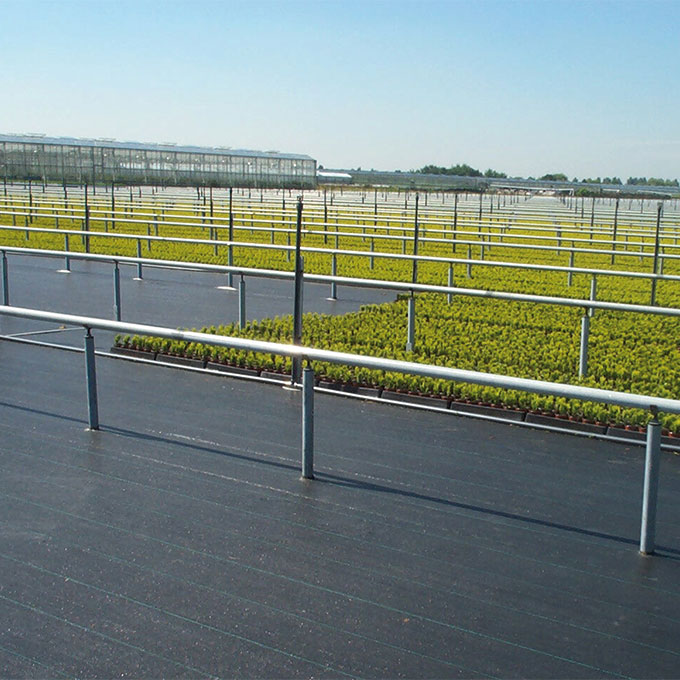 Bändchengewebe PHORMISOL 137, 132 g/m2, 100 m, 415 cm breit