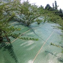 Bodengewebe AGROLYS, 86 g/m2, 100 m, 105 cm breit