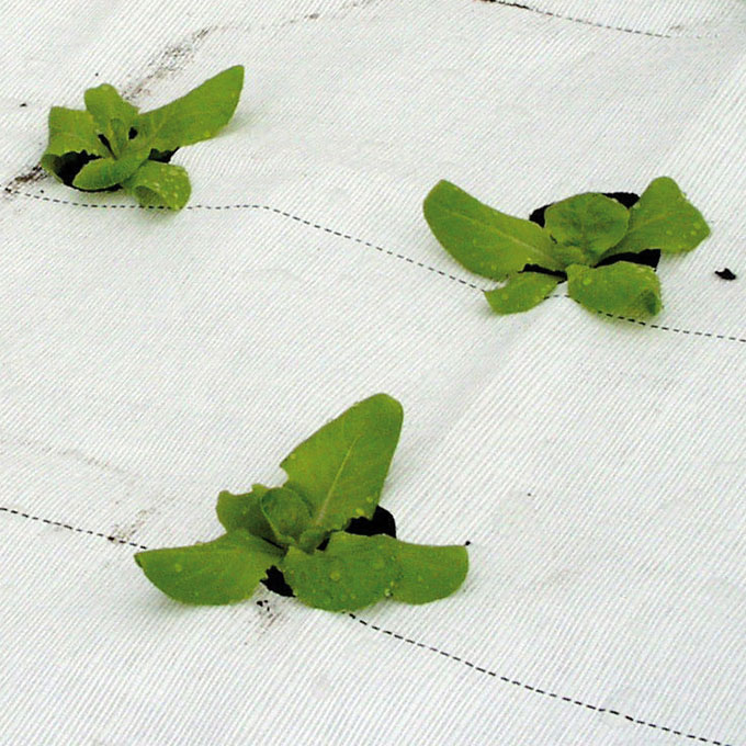 Bändchengewebe PHORMIFLEX, 100 g/m2, 100 m, 167 cm breit