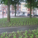 Bio-Bändchengewebe DURACOVER, 130 g/m2, 100 m, 500 cm breit