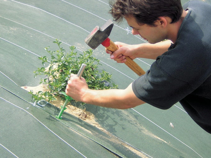 Befestigungshaken BIO 20 cm, 100 Stück