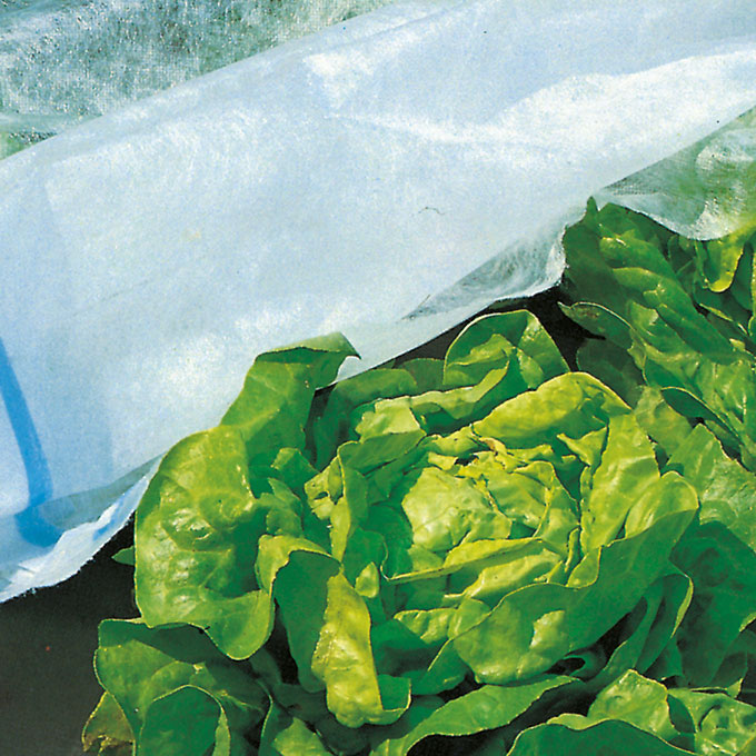 Abdeck­vlies COVERTAN PRO 17 g/m2, 250 m lang, 410 cm breit