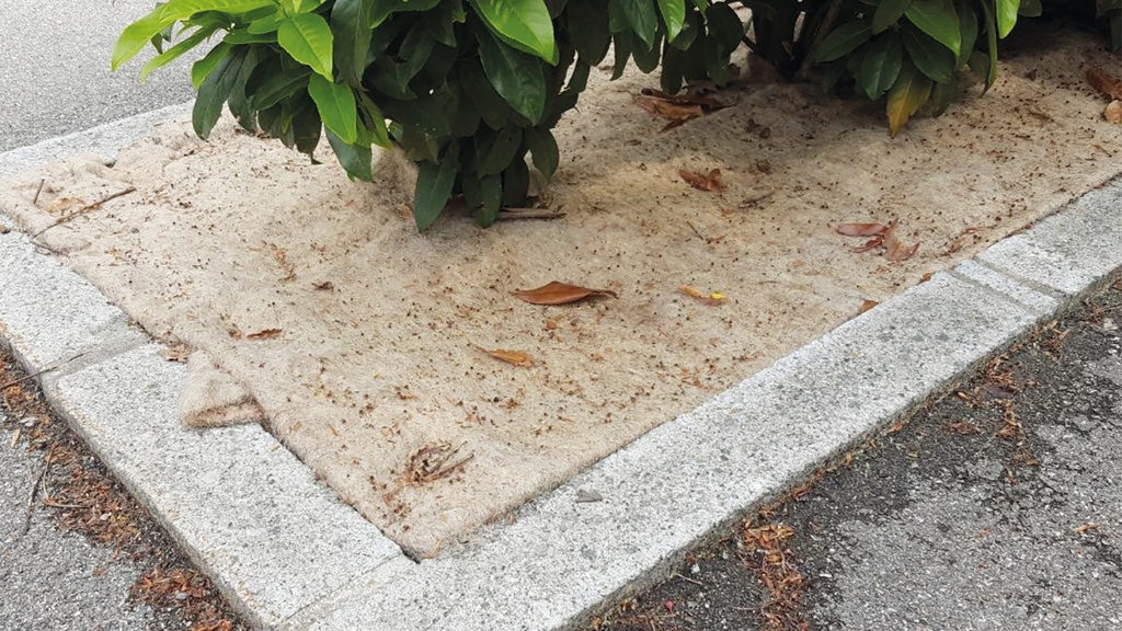 Mulchmatte 200 cm breit, Gewicht 300 g/m², Rolle à 20 m