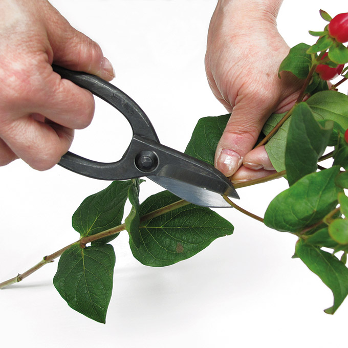 Japaner Bonsaischere IKENOBO