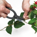 Japaner Bonsaischere IKENOBO