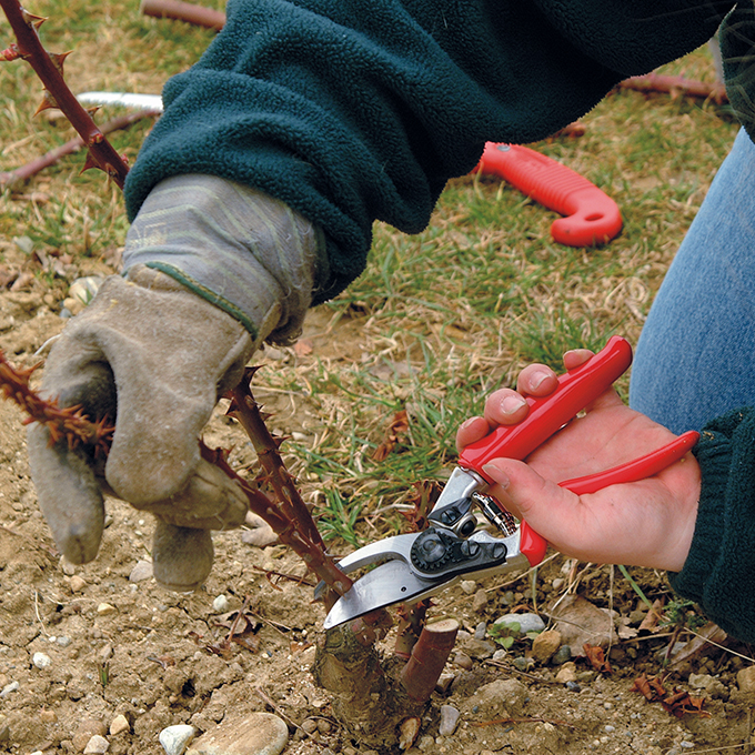 Baumschere FELCO 10, Linkshänder, Rollgriff, 21 cm lang