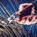 Baumschere LÖWE 11.107, 21 cm lang