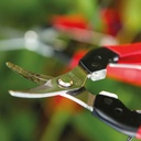 Ernte- und Leseschere FELCO 320, 15.4 cm lang