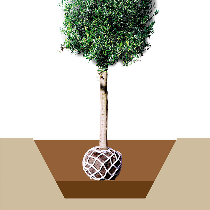 202.740.1_Vlies-Anwachsnetz LITE-NET BIO1 M, 110x70 cm