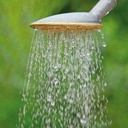 154.310_Löffelbrause SCHNEIDER