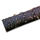 150.580_Tröpfchenbewässerungschlauch, 50 lfm