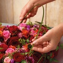 231.830_OASIS® IDEAL Herz 12 x 14 x 3.5 cm 6 Stück