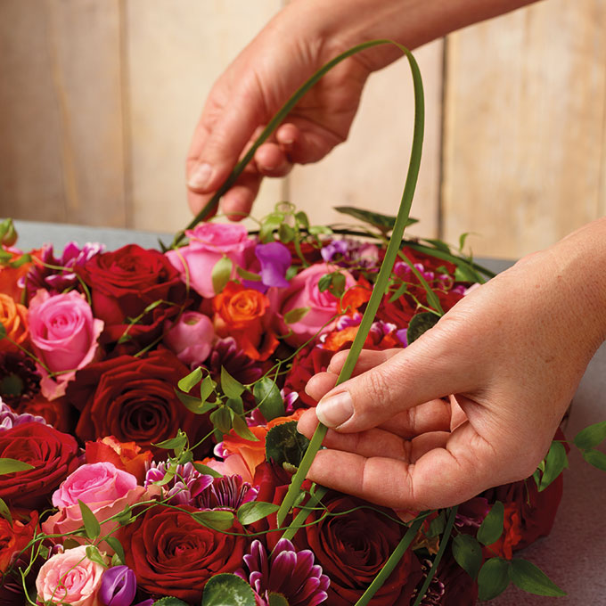 231.835_OASIS® IDEAL Herz 16 x 16.5 x 3 cm 4 Stück