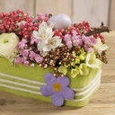 231.880_OASIS® Table Design Neo 22 x 7 x 5.5 cm 10 Stück