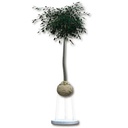 Wurzelballenverankerung GRIPPLE CFK 3 mit Ringschraube