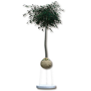 Wurzelballenverankerung GRIPPLE CFK 4 mit Ringschraube