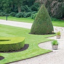 Randbegrenzung feste Zacken Stahl verzinkt 1.6 mm x 10 cm