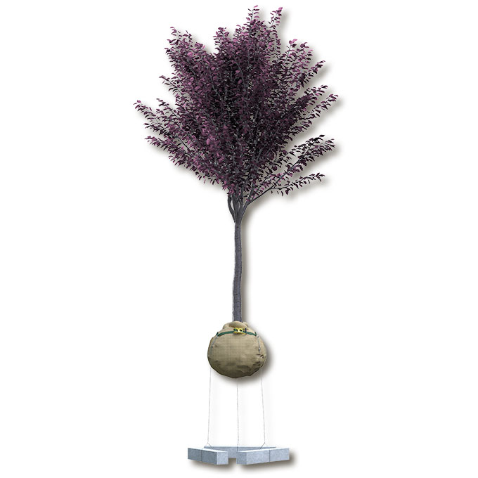 Wurzelballenverankerung GRIPPLE DMK 4 mit Schlaufen