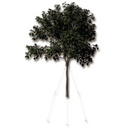 Baumverankerung GRIPPLE TGK 4