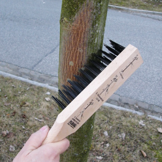 Rindenbürste 4-reihig