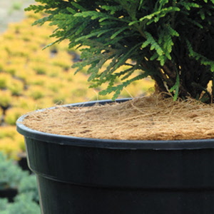 Mulchscheibe 1100 g/m2, Ø 60 cm