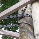 Baumbinder (Kettenbinder) No. 5, schwarz, 25.4x3.8 mm, Rolle à 25 m