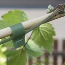 Bindeband SUPER MAX rot, 0.10 mm dick 40 m lang, 10 Rollen