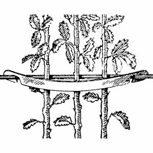 Staudenhalter Plastik, 6 cm lang, Beutel à 100 Stück