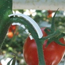 Triebbügel 6 mm transparent, kurz und breit, 17'000 Stück