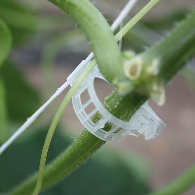 Pflanzenbefestigungsclip terracotta, ø 22 mm, Beutel à 500 Stück