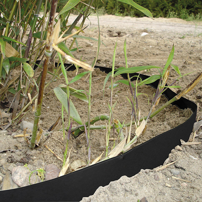 Rhizomsperre HDPE 2 mm, 25 m lang, 100 cm breit