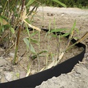 Rhizomsperre HDPE 2 mm, 25 m lang 100 cm breit