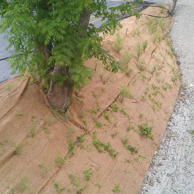 Erosionsschutzgewebe 210 g/m2, 50 m lang, 200 cm breit