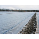 Toison de bâche COVERTAN PRO 17 g/m², longueur 250 m, largeur 150 cm