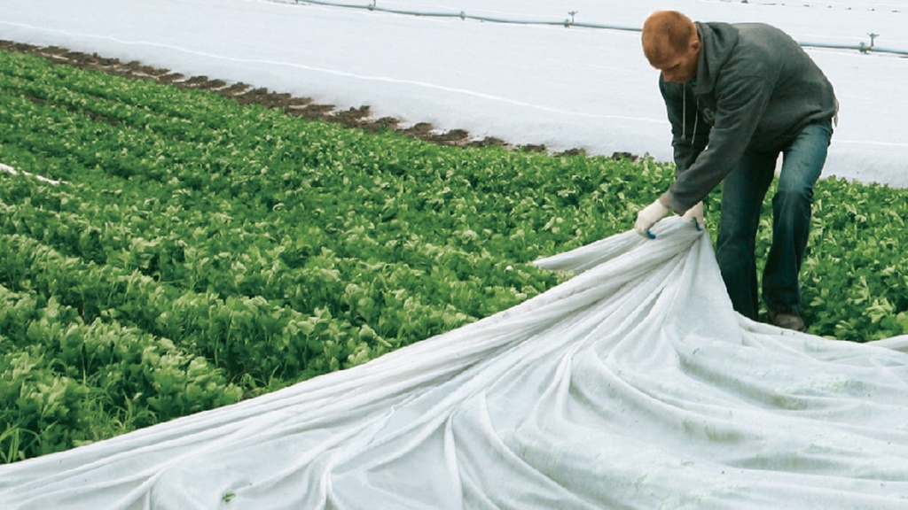 Abdeckvlies LUTRASIL PRO 19 g/m², 250 m lang, 425 cm breit