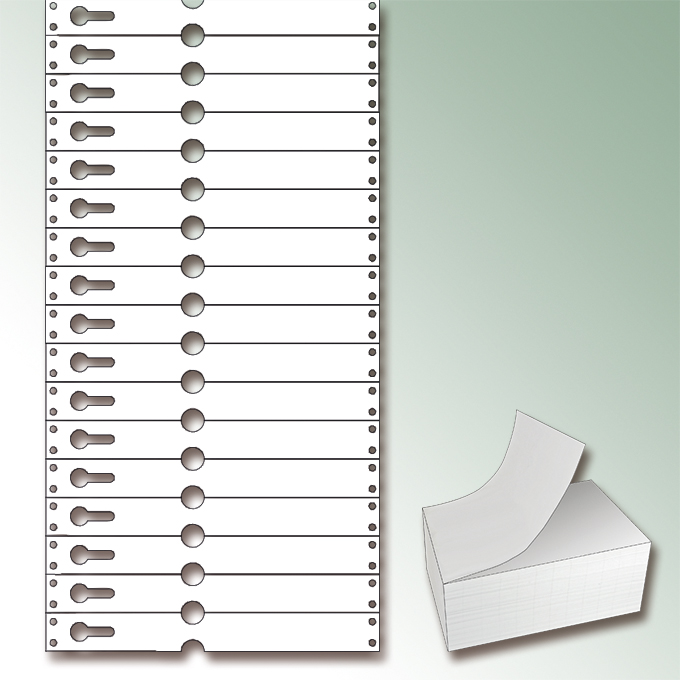 Étiquettes à boucle TYVEK® blanche, 220 x 25.50 mm, paquet de 1'000 étiquettes