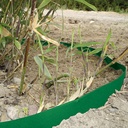 Rhizomsperre HDPE 2 mm grün, 25 m lang 70 cm breit