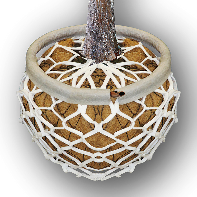 Bewässerungsschlauch BLUELITE-RING