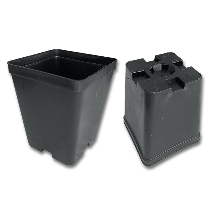 Kakteen-Container schwarz 10 x 10 x 12 cm, 450 Stück