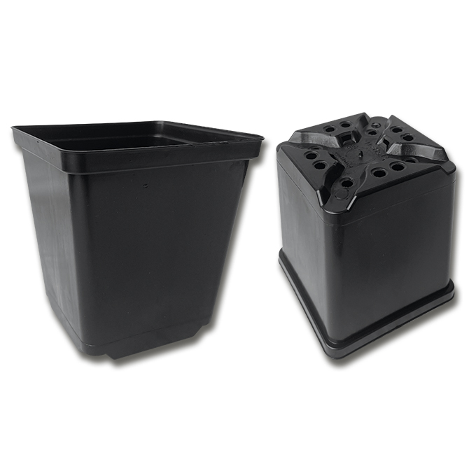 Kakteen-Container schwarz 11 x 11 x 12 cm, 495 Stück