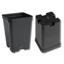 Kakteen-Container schwarz 7 x 7 x 10 cm, 300 Stück